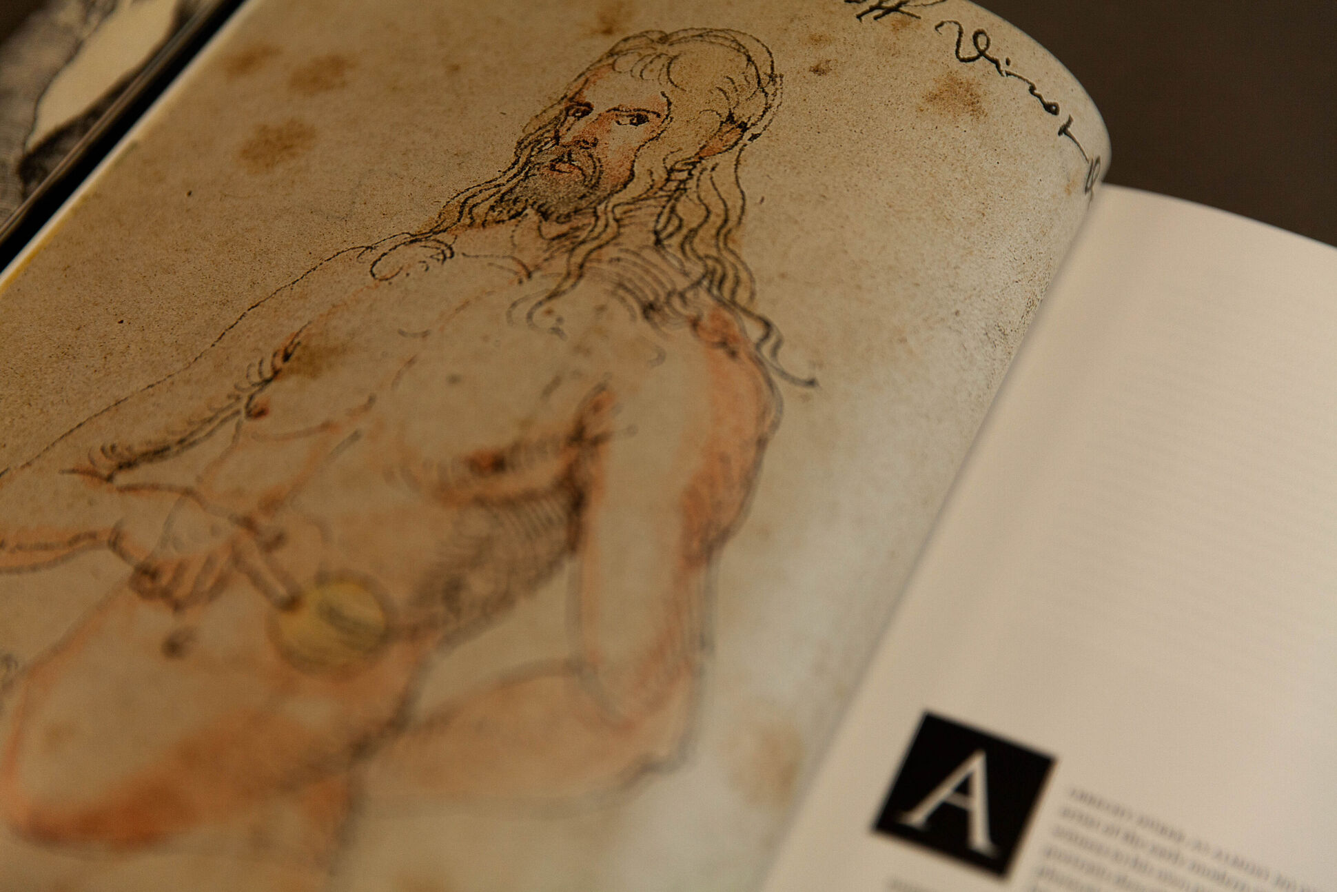 Detail aus dem aufgeschlagenen Buch "Dürer’s Journeys: Travels of a Renaissance Artist" Detail aus dem aufgeschlagenen Buch "Dürer’s Journeys: Travels of a Renaissance Artist"