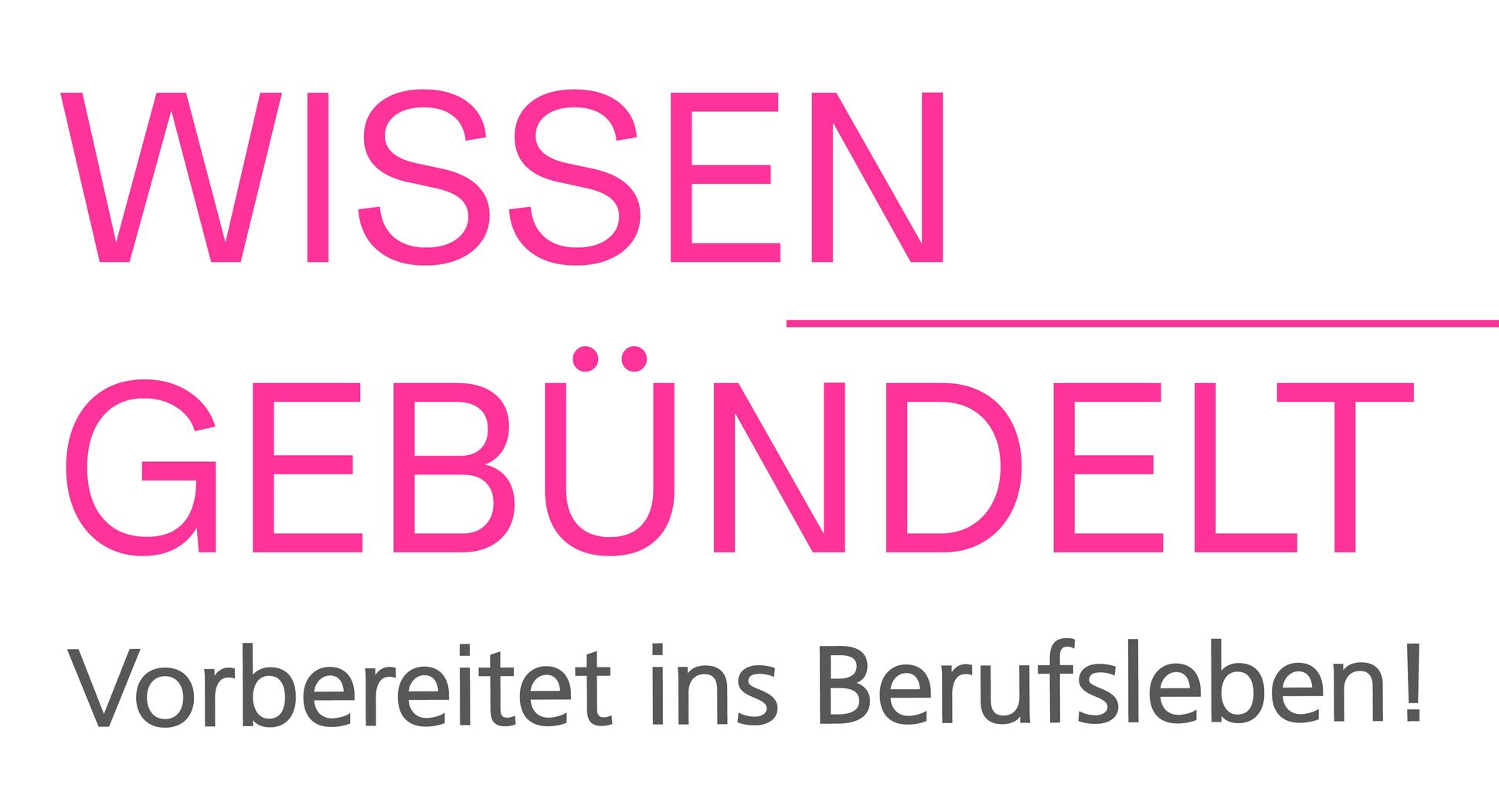 Wissen gebündelt. Vorbereitet ins Berufsleben! Wissen gebündelt. Vorbereitet ins Berufsleben!