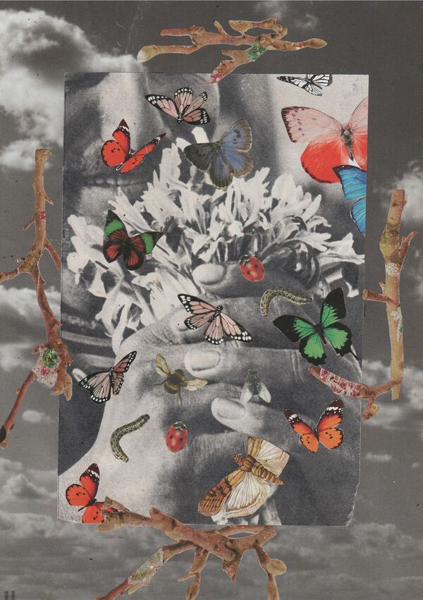 Postkarte Collage schwarz weiß mit bunten Applikationen aus Schmetterlingen und Ästen