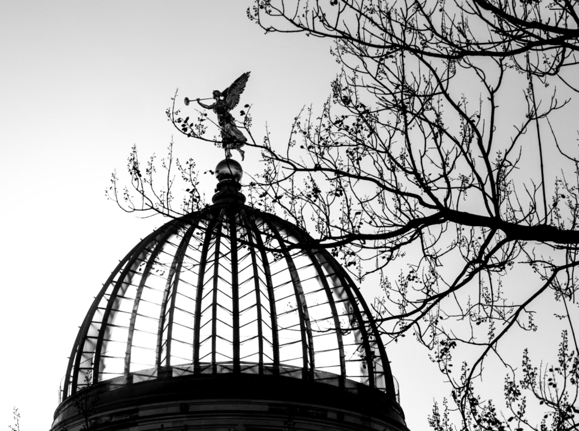 Glaskuppel der Kunstakademie. Fama auf der Spitze der Glaskuppel. Zweige.