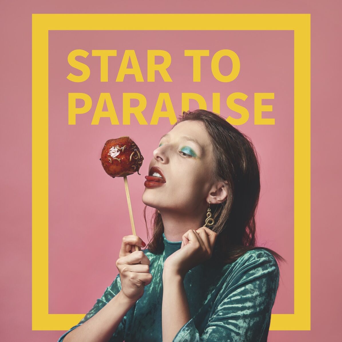 star-to-paradise-poster_web.jpeg
