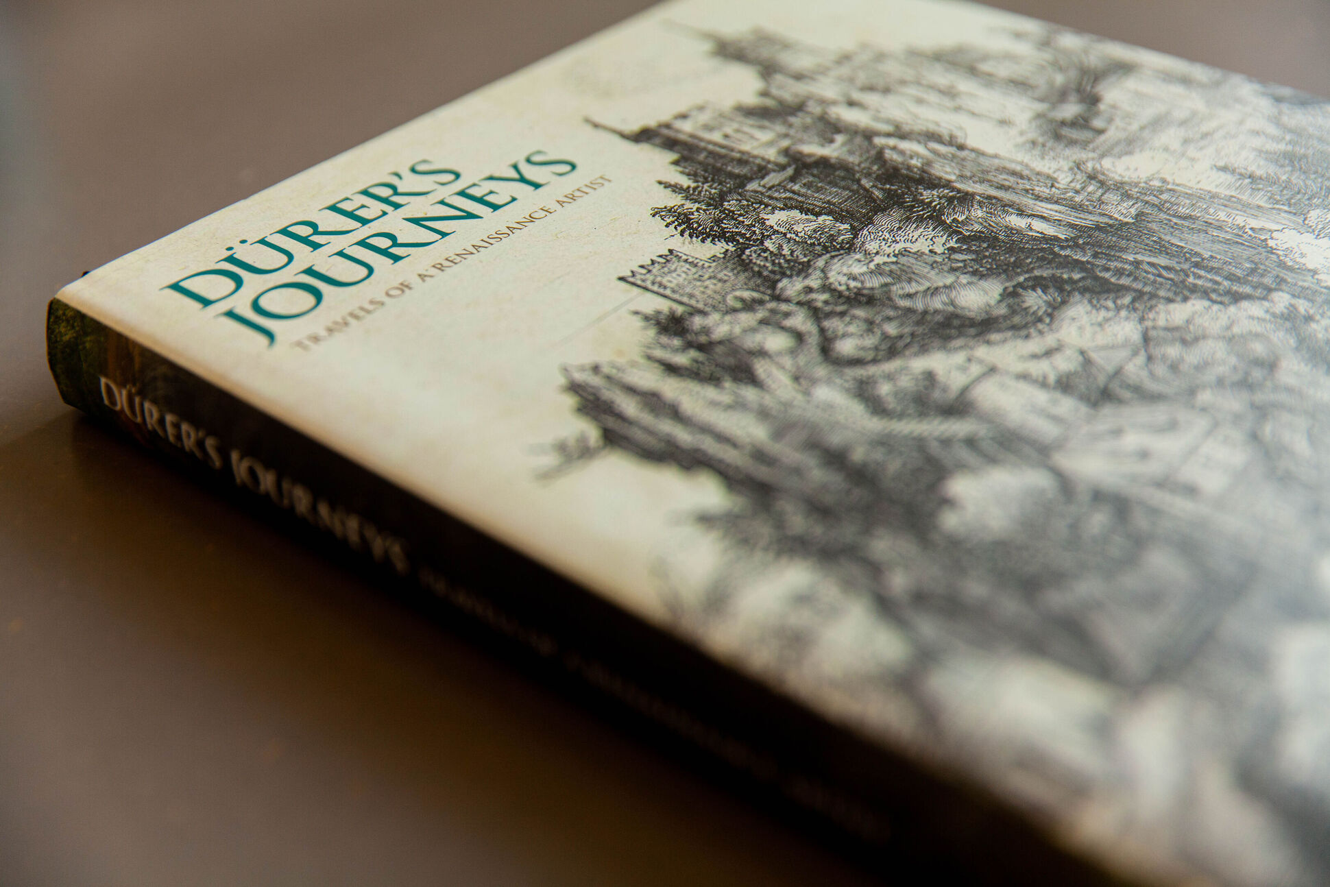 Cover des Buchs "Dürer’s Journeys: Travels of a Renaissance Artist" Cover des Buchs "Dürer’s Journeys: Travels of a Renaissance Artist"