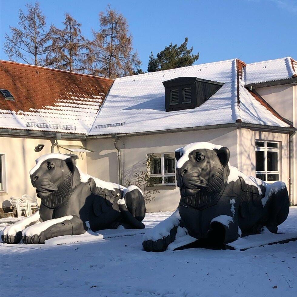 Zwei Löwen im Schnee, Pfotenhauerstraße, fotografiert von Isabell Meldner Zwei Löwen im Schnee, Pfotenhauerstraße, fotografiert von Isabell Meldner