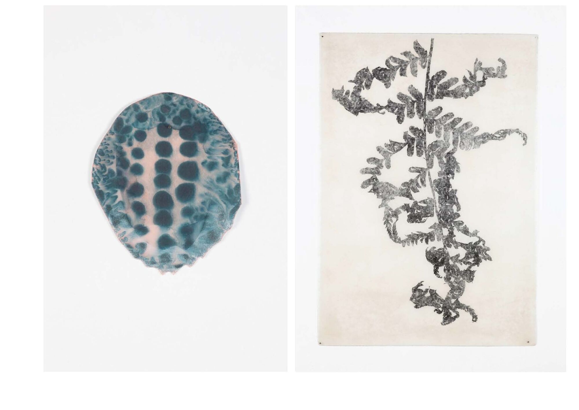 Zwei Zeichnungen hängen an der Wand.