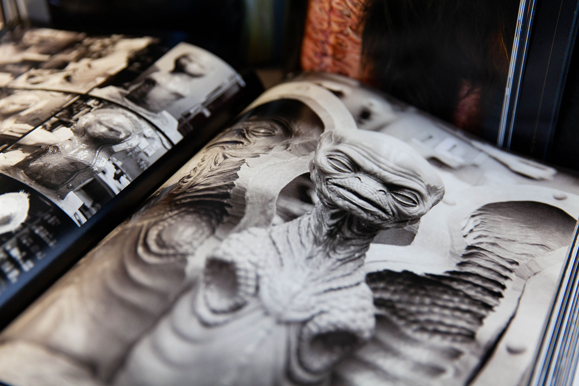 Aufgeschlagenes Buch. Die Seite zeigt eine große Abbildung.