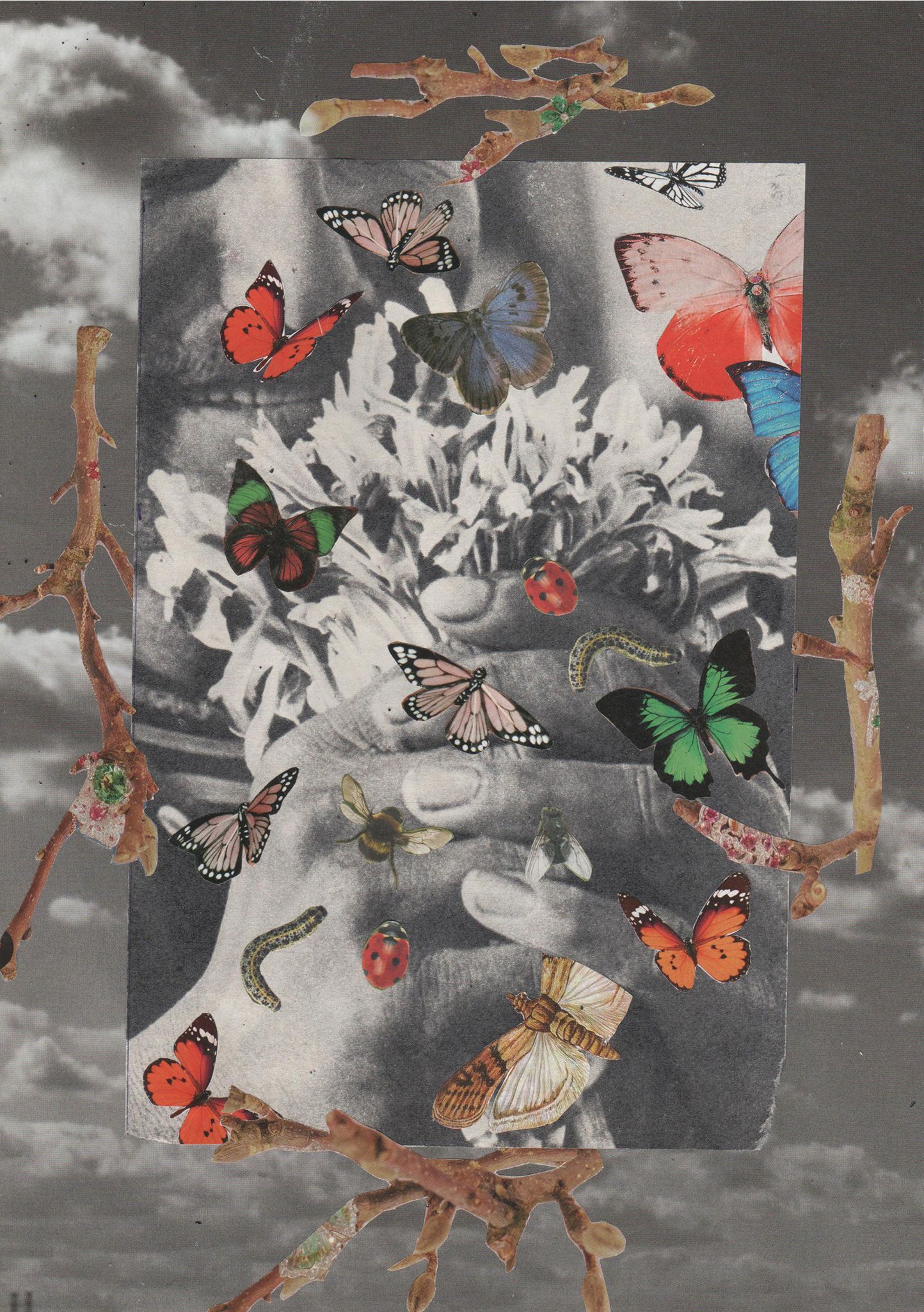 Postkarte Collage schwarz weiß mit bunten Applikationen aus Schmetterlingen und Ästen