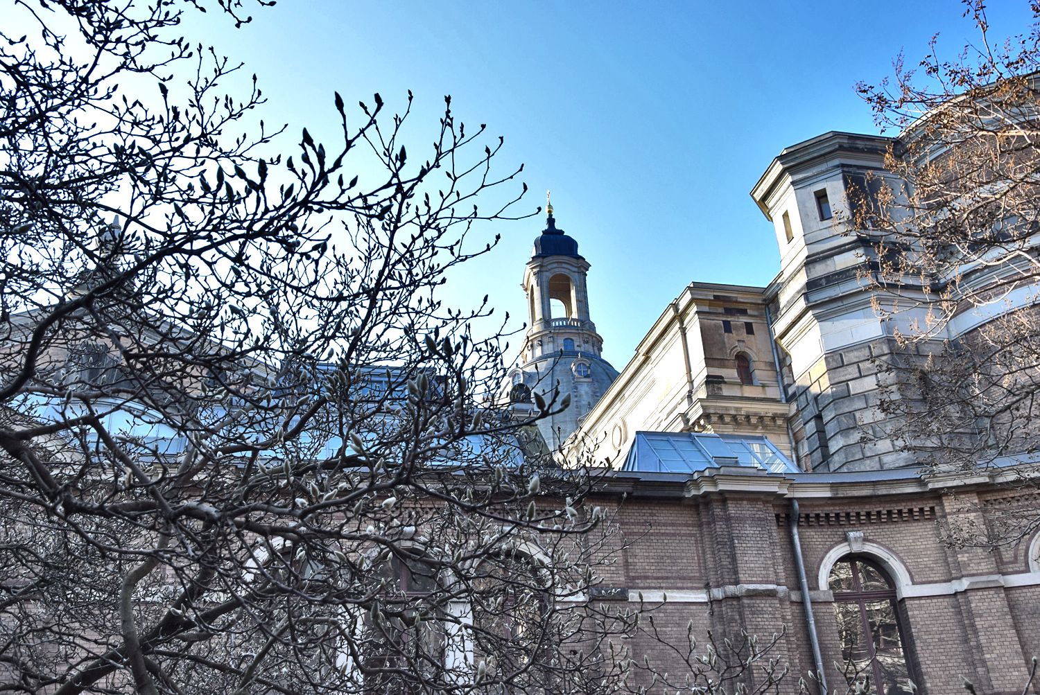 Innenhof der Hochschule. Magnolienblüte.