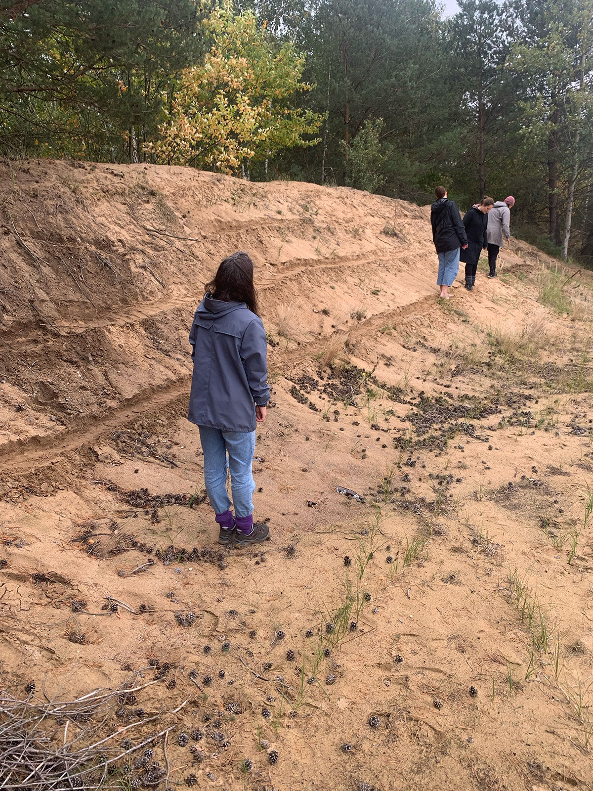 Menschen laufen hintereinander in der Dresdner Heide, der Boden ist sandig.