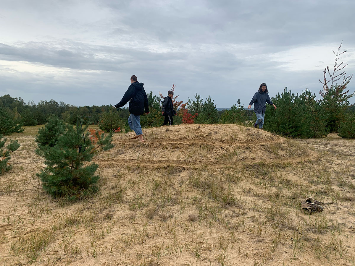 Panorama Trampelpfade in der Dresdner Heide
