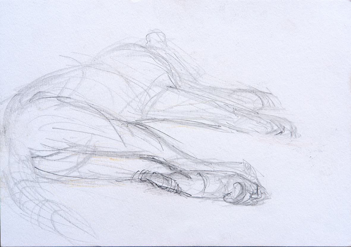 liegendeloewin_graphit_2010_15x21cm_klein.jpg