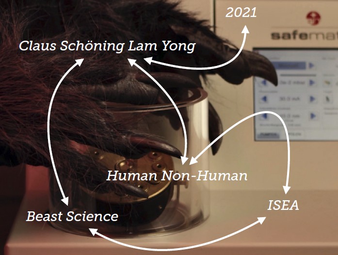 Grafik zum Video Grafik zum Video