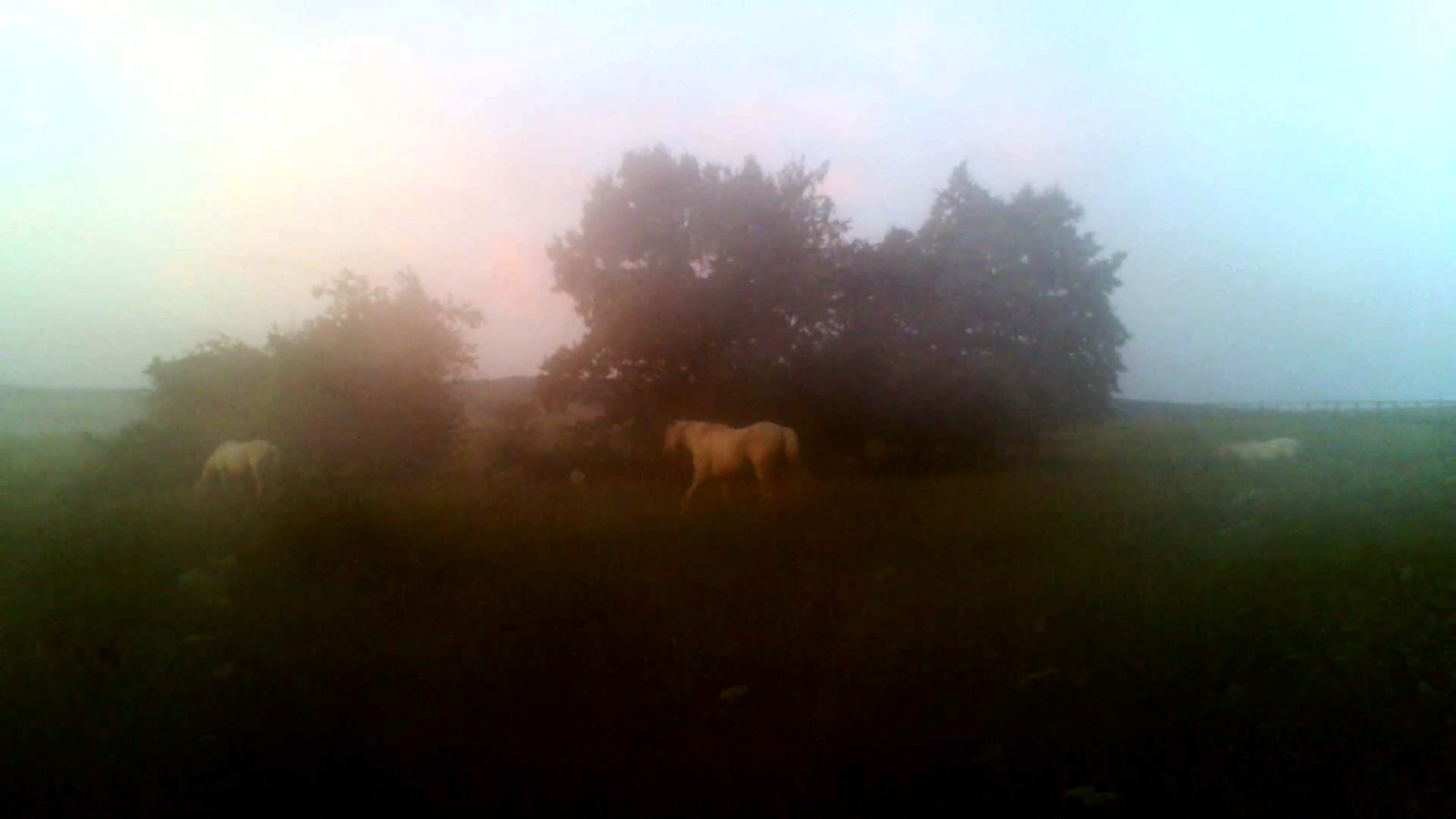 Filmausschnitt - verschwommen Filmausschnitt - verschwommen