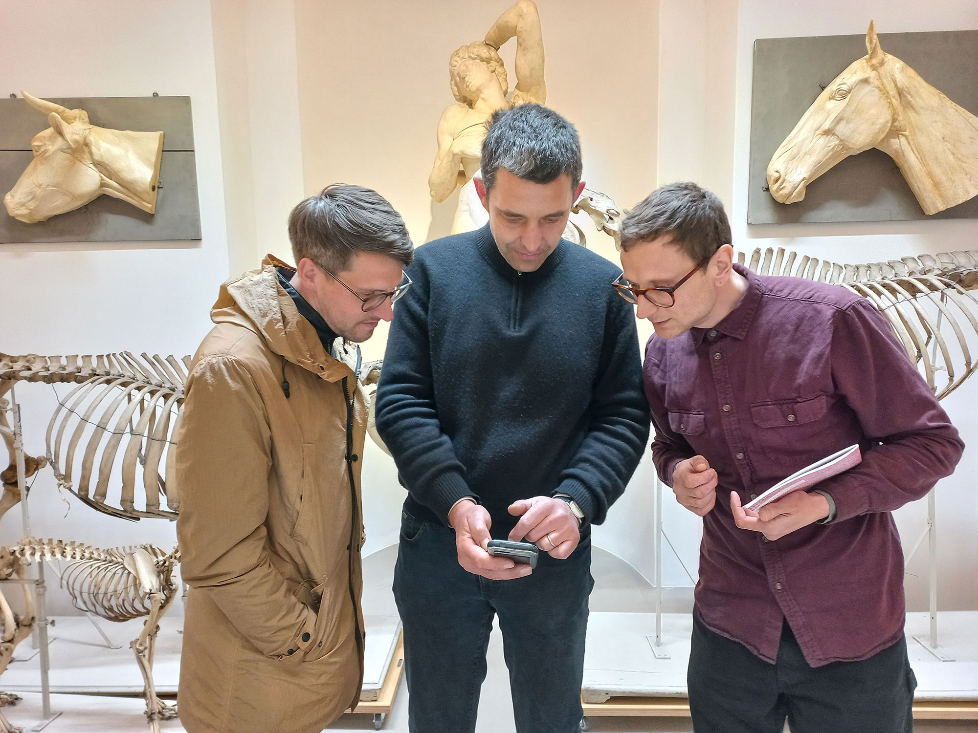 A visit to the anatomy. Three people are looking at a picture on a mobile phone display. In the background are anatomical models of vertebrates.
