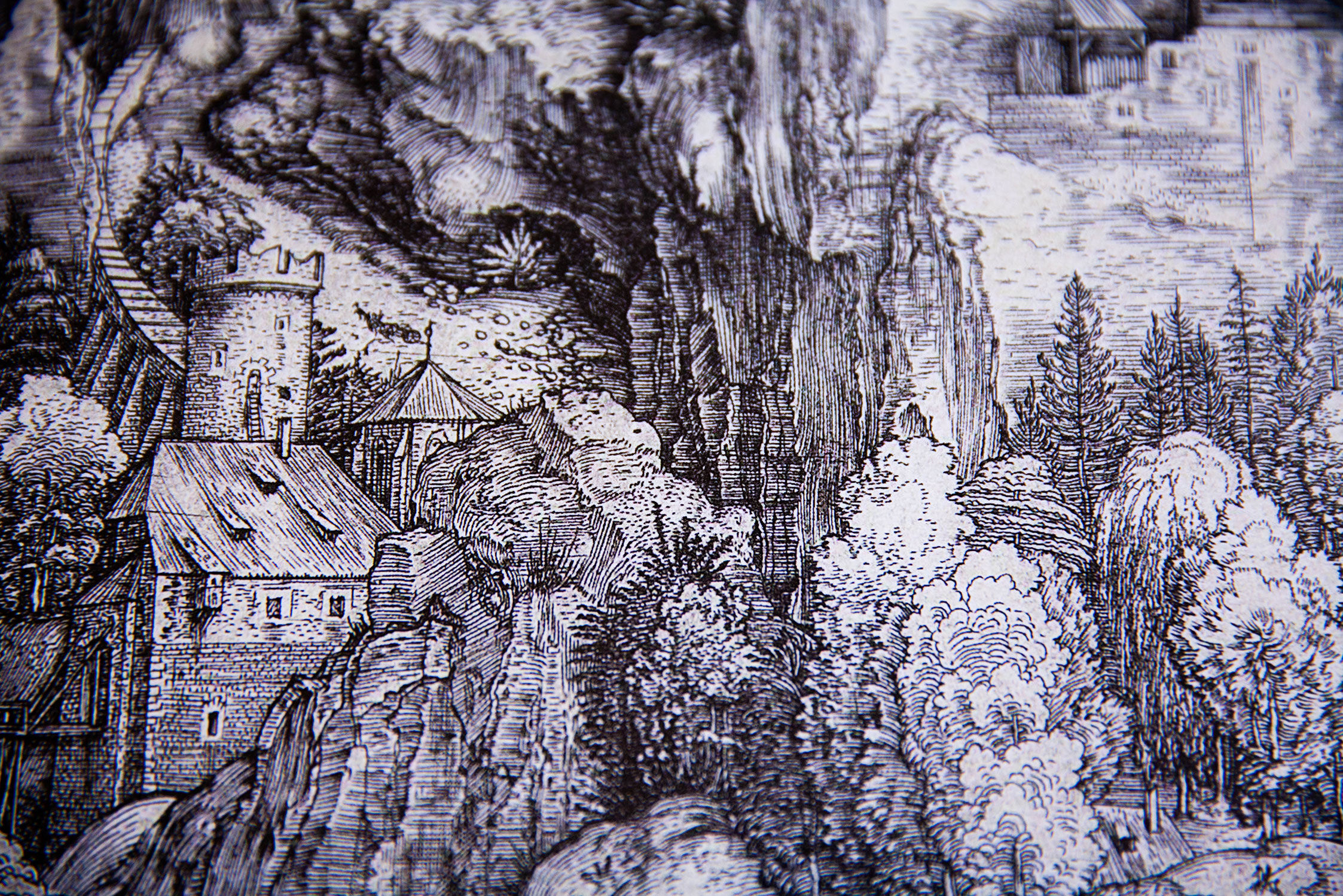 Detail aus dem aufgeschlagenen Buch "Dürer’s Journeys: Travels of a Renaissance Artist"