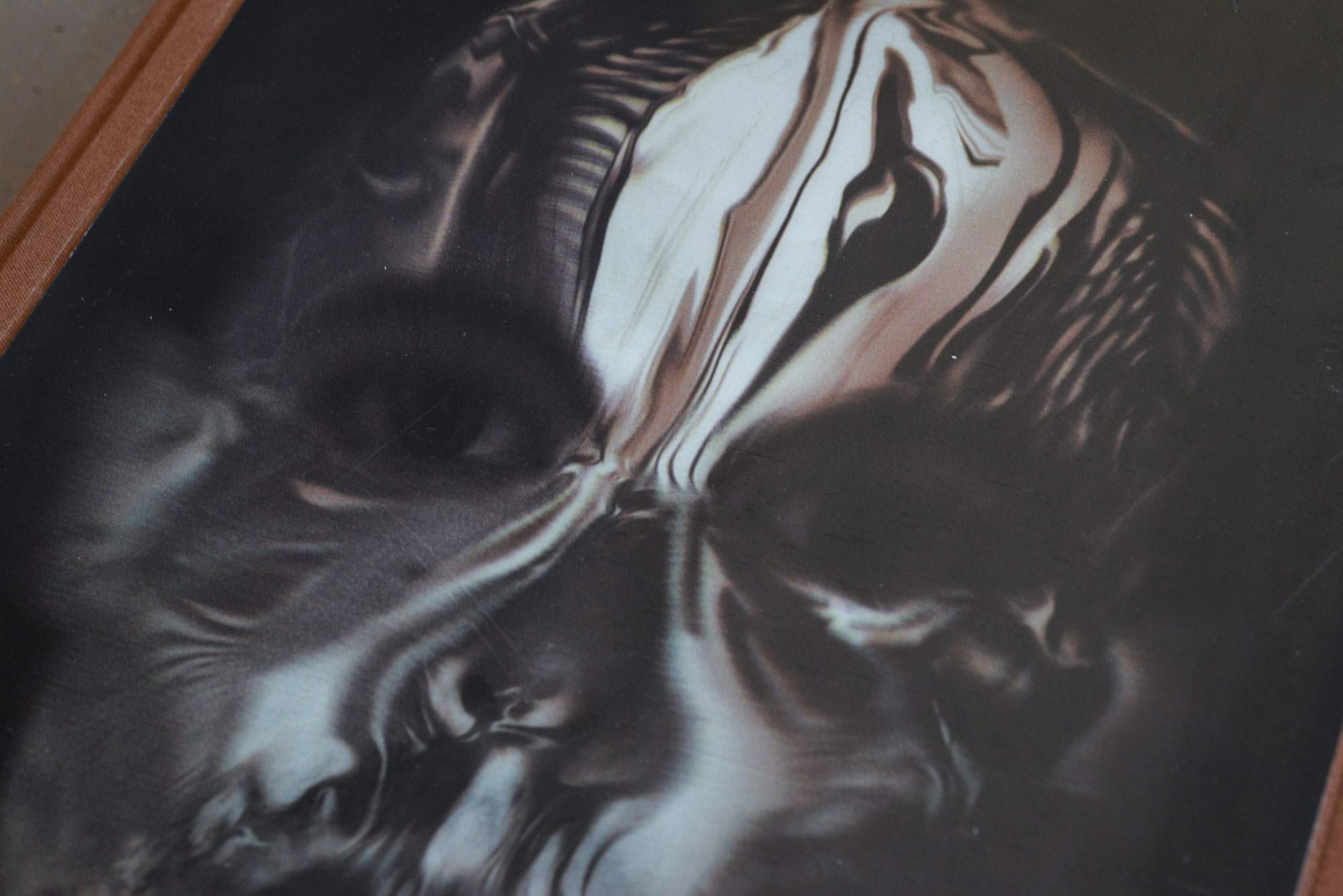 Cover des Buchs "Alexander McQueen. Savage Beauty"