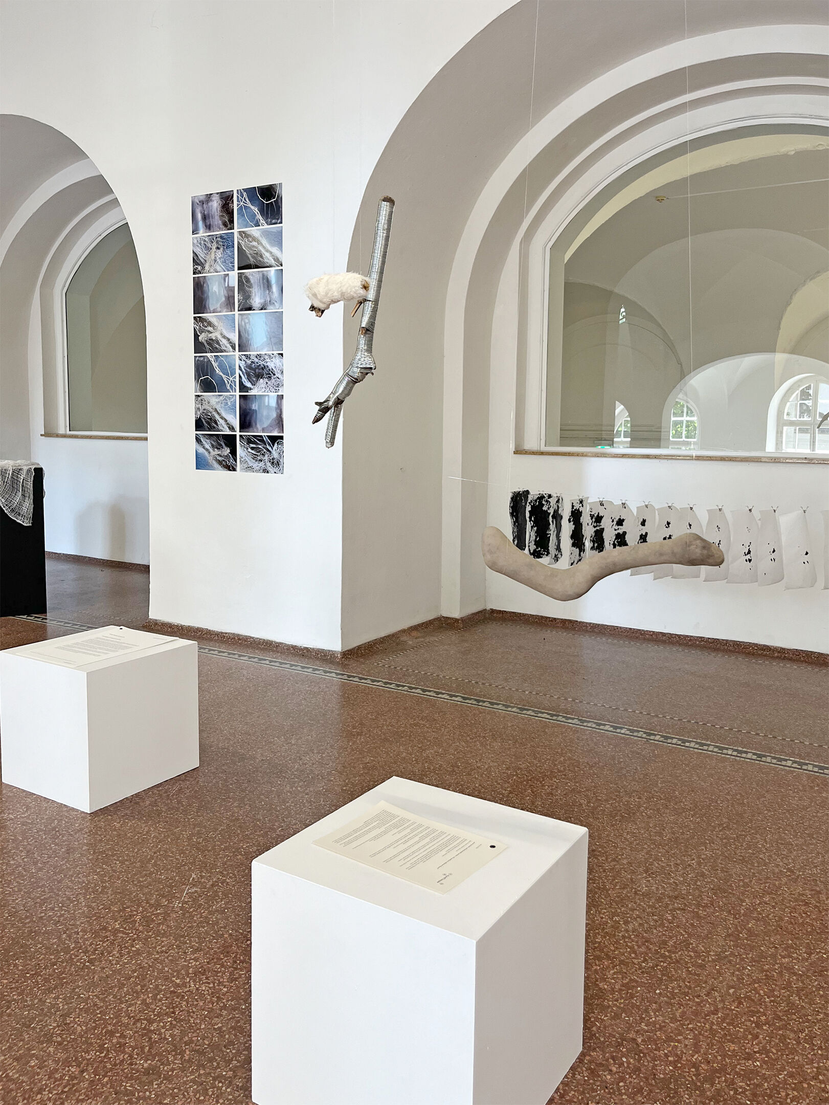 Ausstellungsansicht, Flur, weiße Sockel